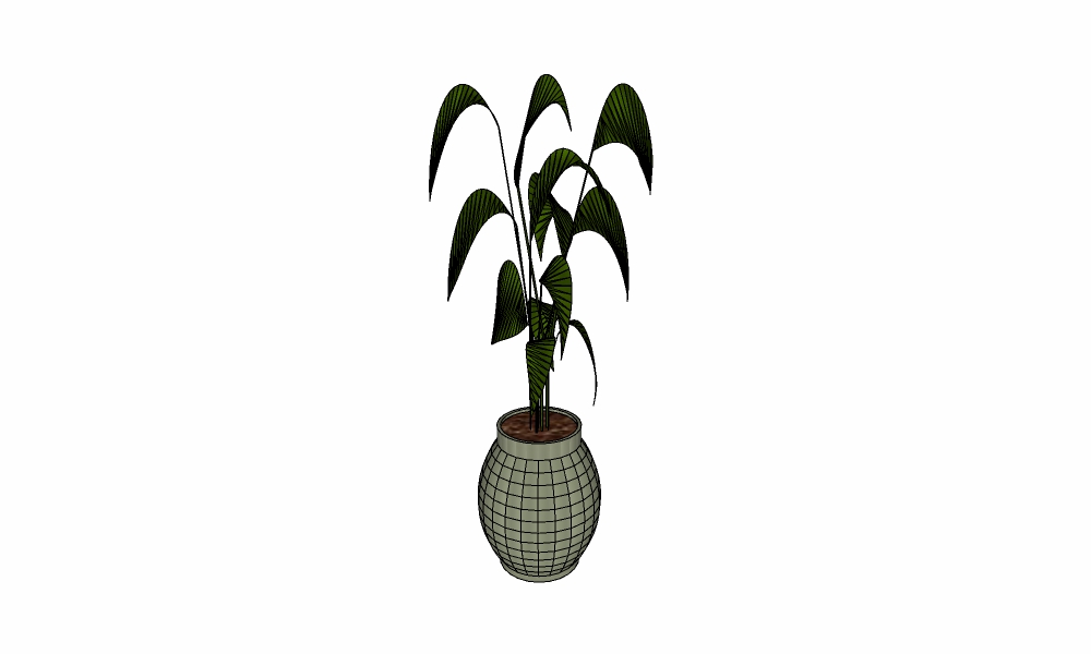 室内植物-266